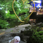 Mr.FARMER - 毛利庭園 ♡前〜♬