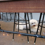 リベロ - 道路側から見たテラス