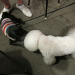 リベロ - 初めまして〜♬