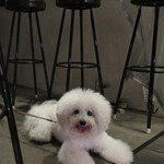 リベロ - 素敵なテラスですネッ！