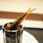 虎白 - トリュフソースにダイブする鮎