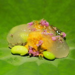 にしぶち飯店 - 雲丹・茆・枝豆の上湯スープ煮凝り　舌の上で香ります
