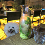 Mr.FARMER - フレーバー・ウォーター