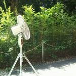 廚 菓子 くろぎ - 