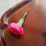 廚 菓子 くろぎ - 