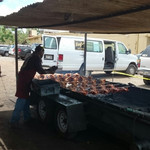 Rays KIAWE BROILED CHICKEN  - 