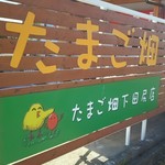 鎌田養鶏直売所 たまご畑 - 