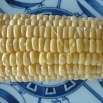 みどりの大地 - 皮を剥いたトウモロコシ（2016.8）