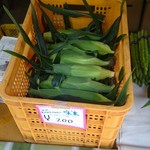 みどりの大地 - 箱で小売りをしています（2016.8）