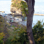 gallery & cafe くらのす - お庭から電車を写す：2010年10月