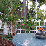 gallery & cafe くらのす - お庭　苔玉とバラ：2010年10月