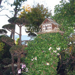 gallery & cafe くらのす - お庭　サンルーム前の巣箱：2010年10月