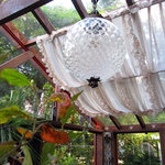 gallery & cafe くらのす - サンルームの屋根：2010年10月