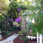 gallery & cafe くらのす - 苔玉方面からサンルームを写す：2010年10月