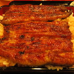 うなぎ かわかみ - うな重。