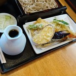 手打蕎麦 たなぼた庵 - 天もり 1100円