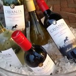 Sai - 【H28.8.11】渋川駅前バルシェ。