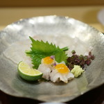 井雪 - 鱧に星鰈