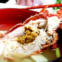 伊勢海老の味噌汁