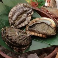 活あわび  １個 （宮城県産）