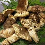 ぼたん鍋処 如月庵 - 丹波松茸