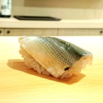 鮨 あらい - しんこ