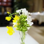 メゾン・ド・ユーロン - 