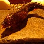 龍吟 - 泳がし鮎