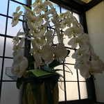 蕎麦家いごころ - 