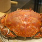 鮨 山浦 - 28年8月　渡り蟹