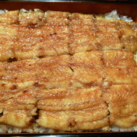 五代目 野田岩 麻布飯倉本店 - 鰻重（山吹）