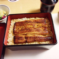 鰻割烹 伊豆栄 本店 - 