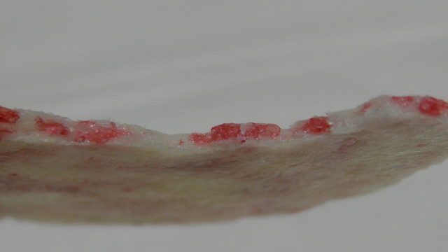 ファミリーマート 西仙北SA店 - 峰吉川（コンビニ・スーパー）の写真