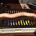 うしのよだれ - 長いマルチョウ、なかなかのインパクト