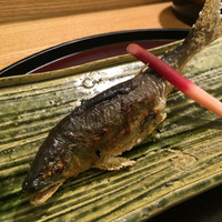 日本料理 太月 - 岐阜県長良川の天然鮎