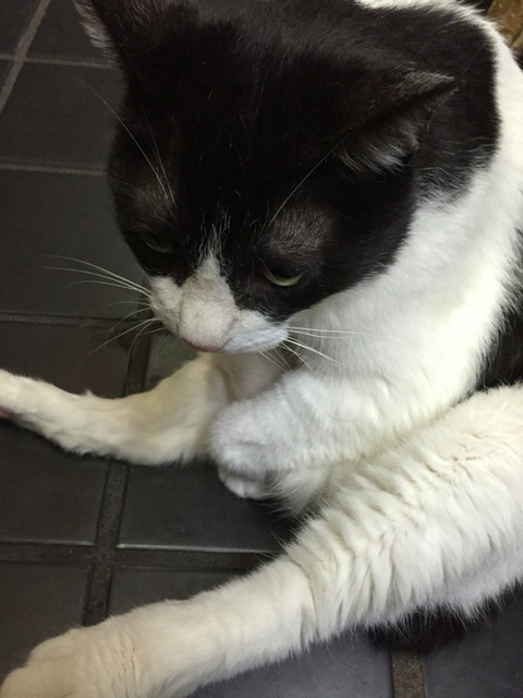 The photo of Others: Akaihana[Tabelog]