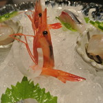 日本料理 潤花 - ２０１６年８月１３日　甘エビ