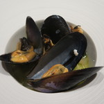 レストラン ラッセ - 28年8月　「布海苔」を練りこんだ手打自家製麺　カッペリーニ　広島よりムール貝のスープ仕立て