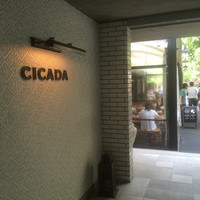 CICADA - 