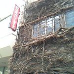 インド風カリーライス - 