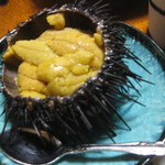 さが旅館 - 料理写真:うに