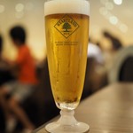 北山 洋食カフェ 和蘭芹 - 「ハートランド生ビール中グラス」