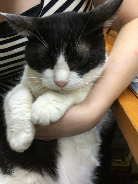 The photo of Others: Akaihana[Tabelog]