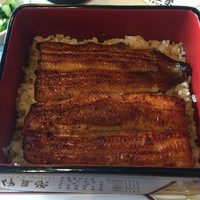 鰻割烹 伊豆栄 本店 - 