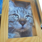 23歳で逝ってしまった男の子です。