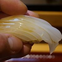 鮨 一條 - アオリイカ