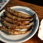 炉ばた - ししゃも、手前２つがメス。奥３つがオス