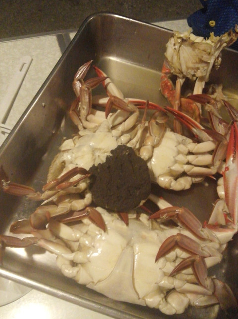 民宿ハーバーハウスかなめ - 陸前浜田（旅館・民宿）の写真