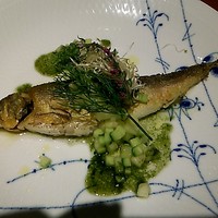 Osteria OLMO - 