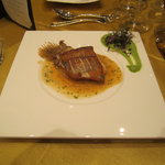 セント レジス ホテル - 本日の魚のパンフライと茸のリゾット　プチサラダ、胡瓜のドレッシング添え